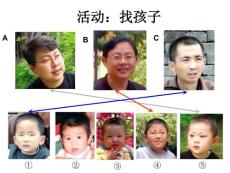 生物的遺傳1