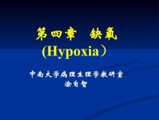 第四章   缺氧