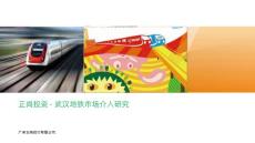 地鐵市場項目可研分析20130818