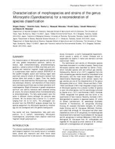 Characterization of morphospecies and strains of the genus