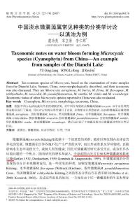 中國淡水微囊藻常見種類的分類學(xué)討論-以滇池為例