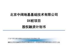 DX桩基项目股权融资计划书