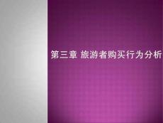 旅游者購買行為分析