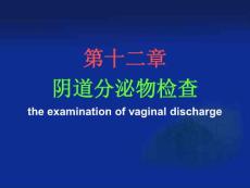 阴道分泌物检查