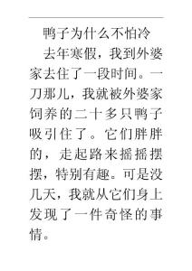 鴨子為什么不怕冷