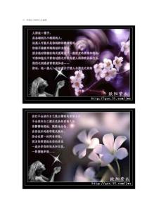 有一种感情只能用心去储藏