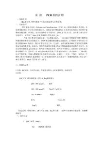 PCR基因擴增