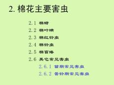 棉花害虫-2主要害虫(1)