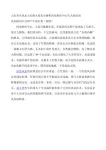 山東著名風水大師趙九皓先生解析濟南奧體中心失火的原因
