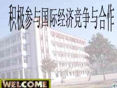 積極參與國(guó)際經(jīng)濟(jì)競(jìng)爭(zhēng)與合作