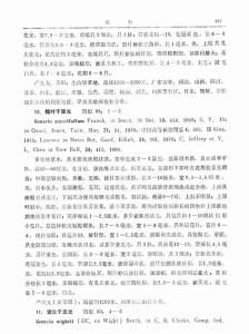 千里光屬幾個種