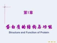第01章蛋白质的结构与功能