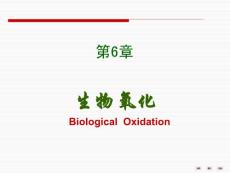 第06章生物氧化
