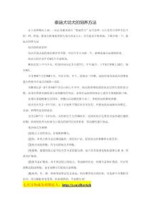 泰迪犬幼犬的飼養方法