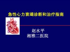 急性心衰治疗指南(2010)-赵水平