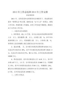 2013年養老保險工作總結