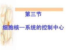 3.3細(xì)胞核—-系統(tǒng)的控制中心