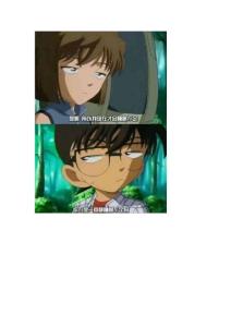 柯南與灰原哀77個相似表情