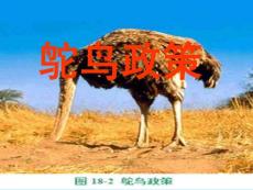 鴕鳥政策