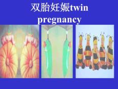 妇产 双胎妊娠