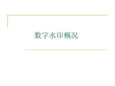 數(shù)字水印概況