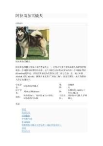 阿拉斯加雪橇犬