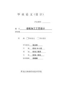 齿轮加工工艺0324文档