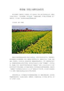 春游趣 尋找江南醉美油菜花