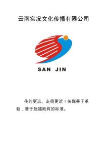 云南實況文化傳播有限公司