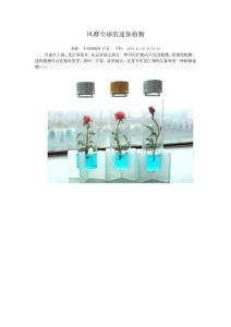 風(fēng)靡全球的迷你植物