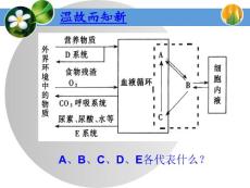 2.1 通過神經(jīng)系統(tǒng)的調(diào)節(jié)1(上課)