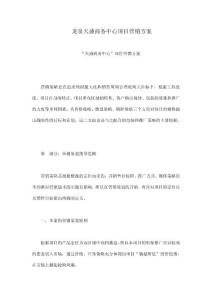 龍泉天盛商務(wù)中心項(xiàng)目營銷方案