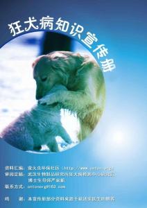 狂犬病知识宣传手册