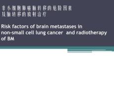 NSCLC-BM Risk Factors 307