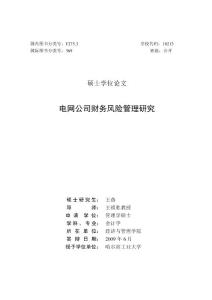 電網公司財務風險管理研究--優秀畢業論文