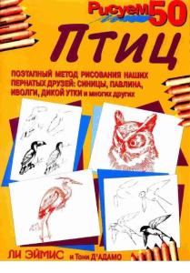 鳥類的畫法-國外手繪教程