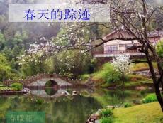 八年級語文尋覓春天的蹤跡