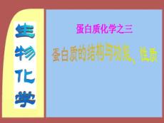 03 蛋白質化學之三 結構與功能的關系