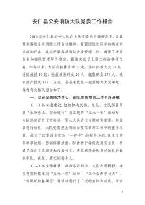 2013年安仁公安消防黨委工作報告