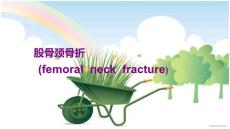 股骨颈骨折护理