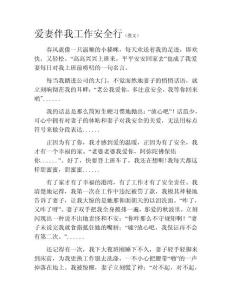愛妻伴我工作安全行（散文）