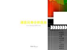 大學(xué)生電腦使用情況調(diào)查問卷分析報告