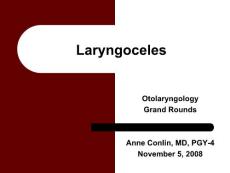 Laryngoceles%2520(Conlin)ppt：喉气囊肿的占2520（康林）PPT