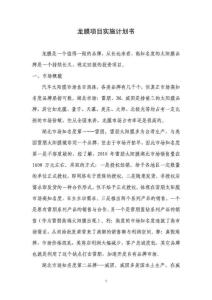 龍膜項目實施計劃書_1614392710