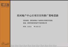 星河地產中心區項目宣傳推廣策略思路