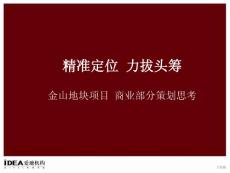 金山项目商业推广方案