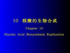 核酸的生物合成