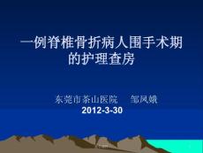 一例胸腰椎骨折病例护理个案查房  PPT课件