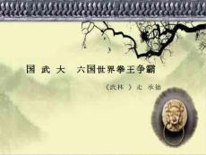 武林風 武術大賽招商方案