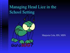 Managing Head Lice in the Schools - Missouri[管理头虱的学校 - 美国密苏里 ](PPT-48)